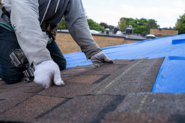 Best Roof Waterproofing Services  in Prescott, WI