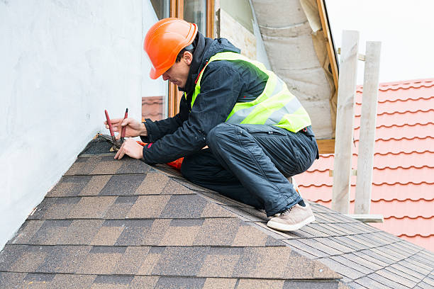 Best Sealant for Roof  in Prescott, WI